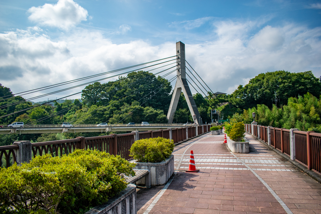 あの日見た花の名前を僕たちはまだ知らない