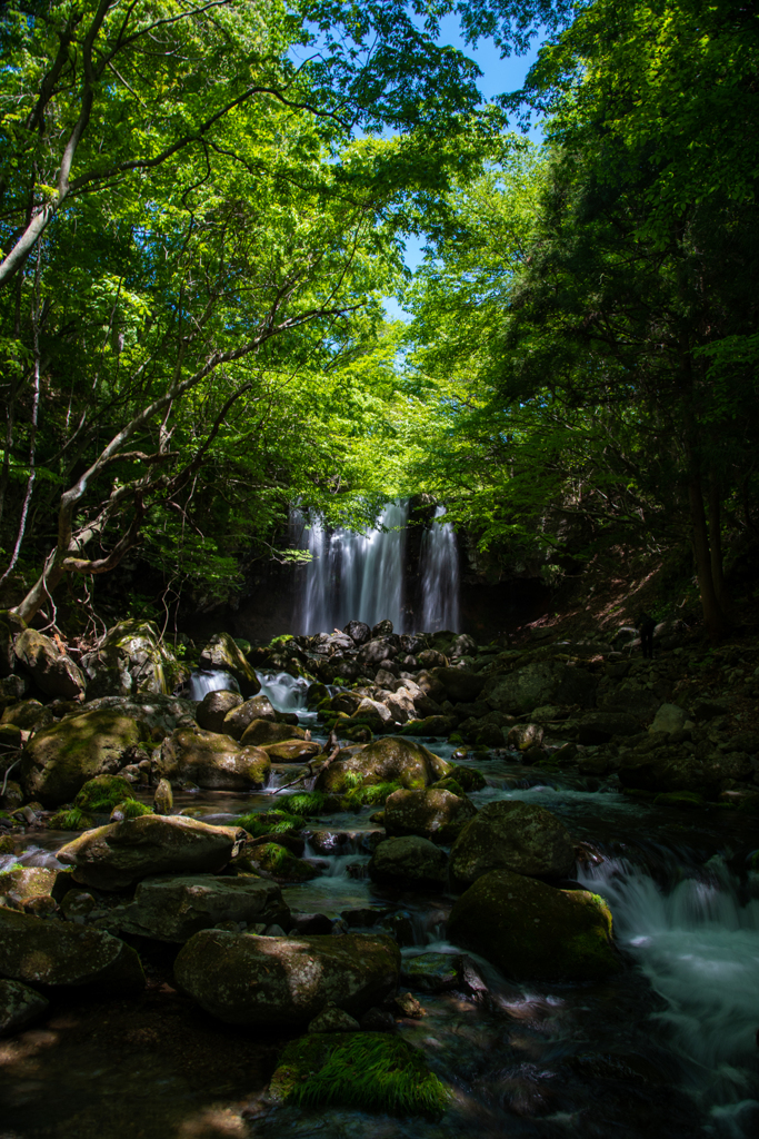 夏の始まり