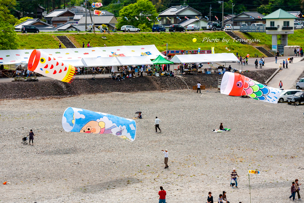 仁淀川紙こいのぼり-空泳ぎ-