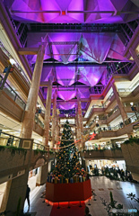 ランドマークプラザのXマスツリー