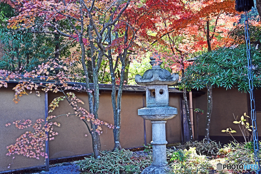 秋の一条恵観山荘