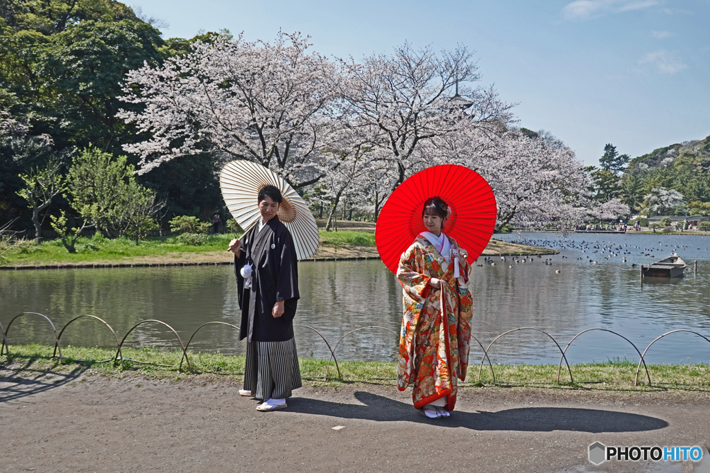 春の三渓園～園内スナップ