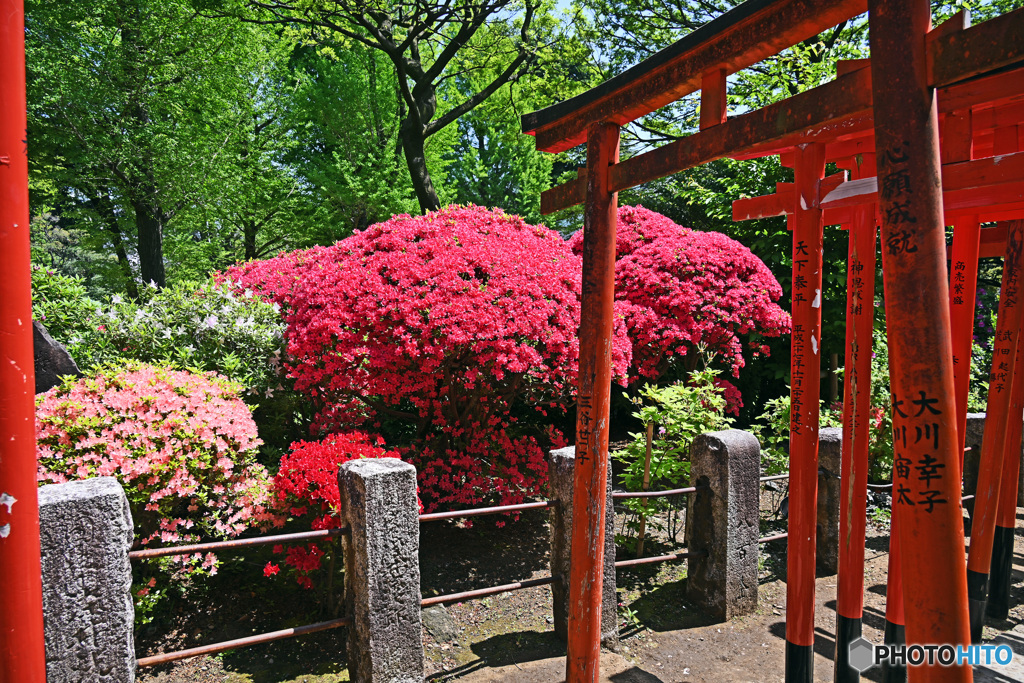 根津神社