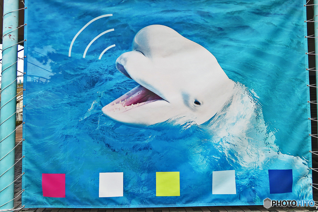 今年は熱いねぇ