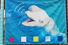 今年は熱いねぇ