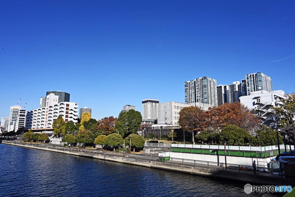 天王洲スナップ 天王洲運河周辺