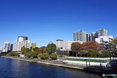 天王洲スナップ 天王洲運河周辺