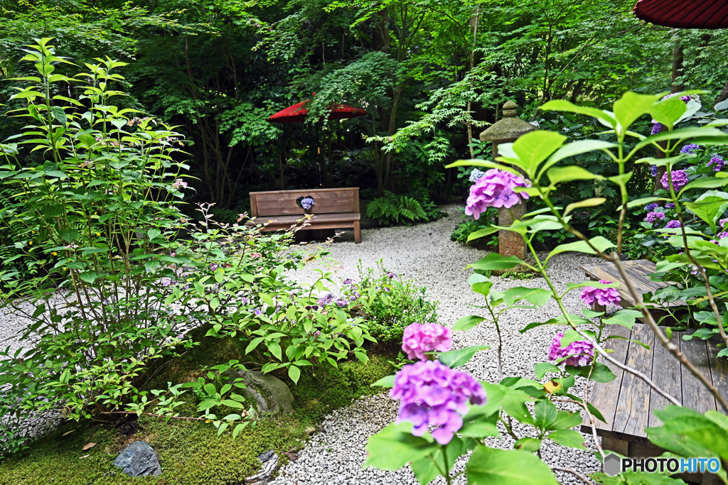 一条恵観山荘　庭園の部