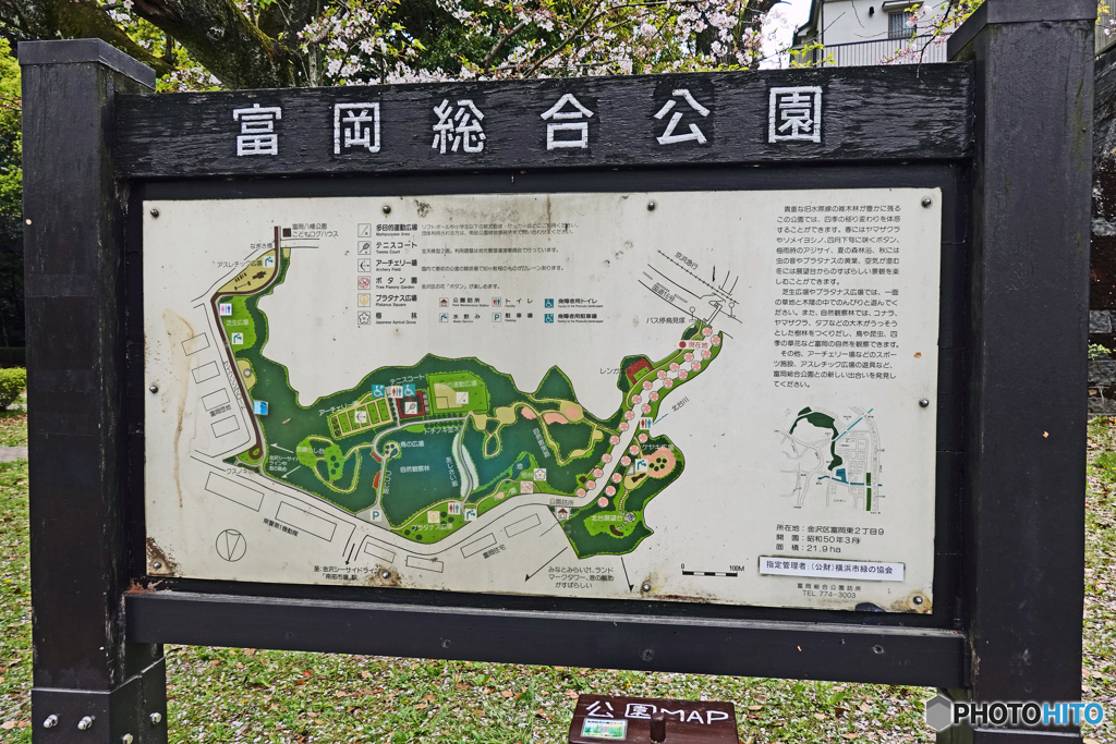 横浜市立富岡総合公園