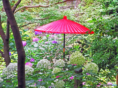 赤い傘のある風景OK