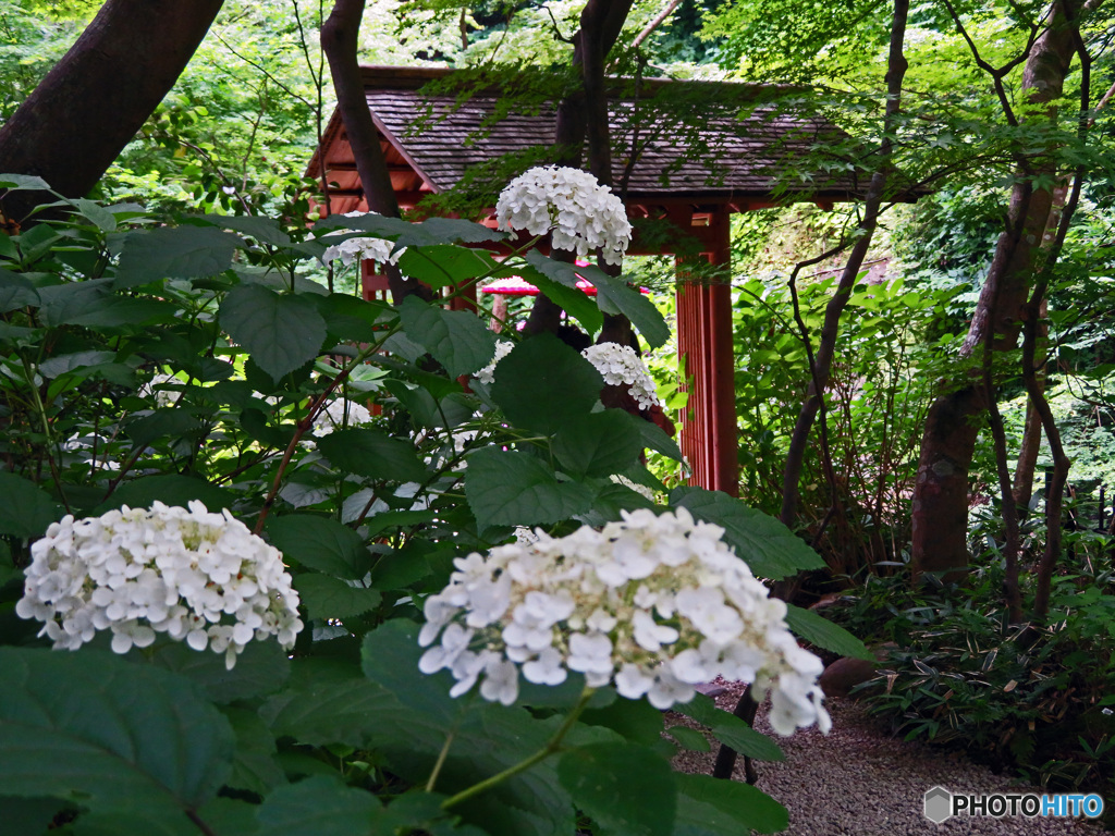 一条恵観山荘　庭園の部