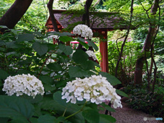 一条恵観山荘　庭園の部