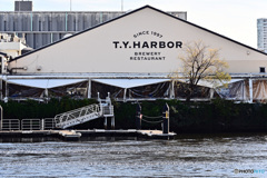 天王洲スナップ