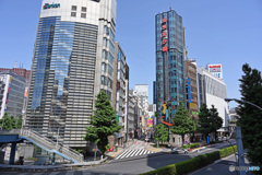 散歩の途中で