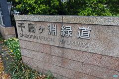 千鳥ヶ淵スナップ