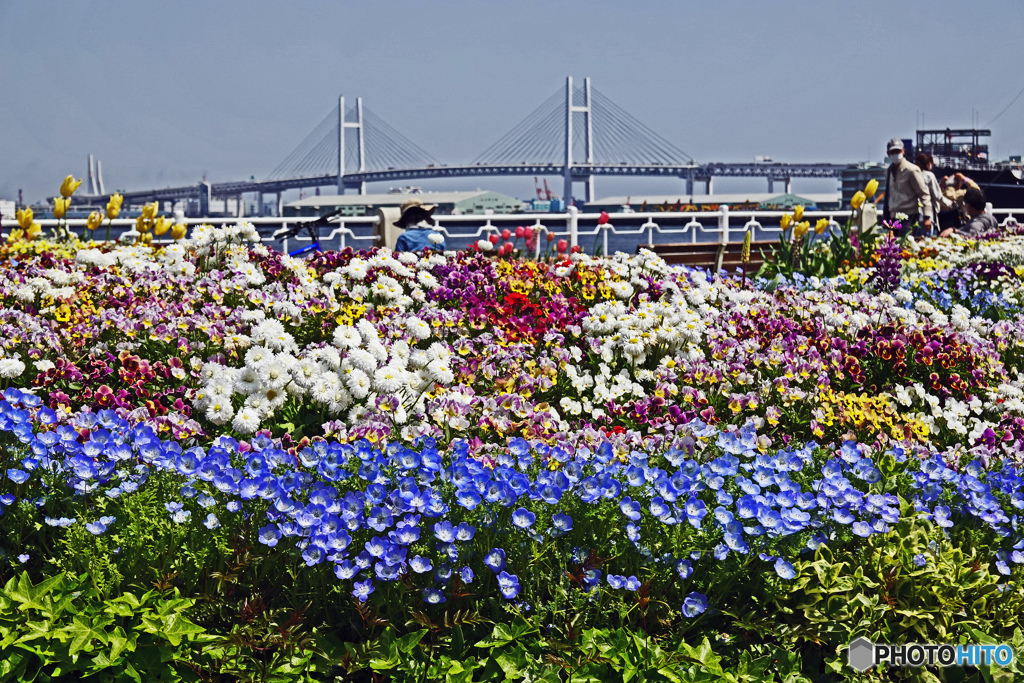 山下公園