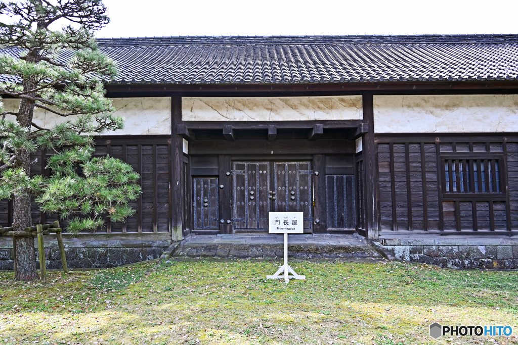 秋の皇居公開