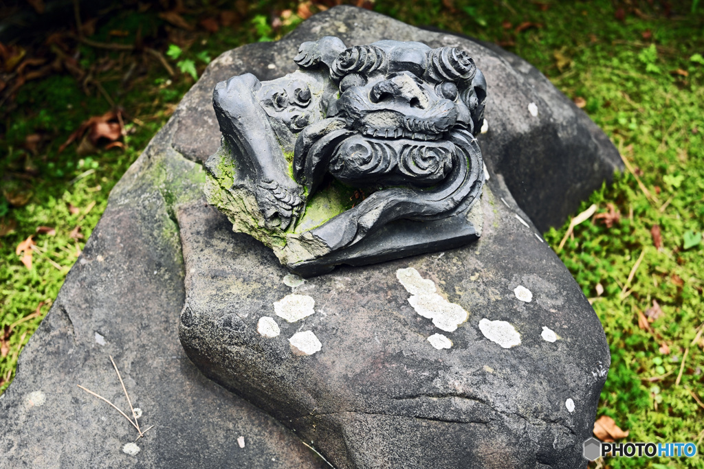 一条恵観山荘　庭園の部