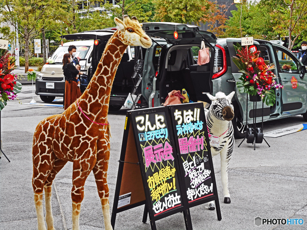 ベイサイドスナップ