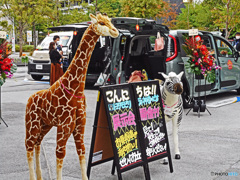 ベイサイドスナップ