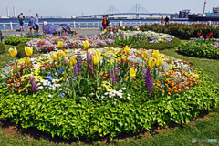 ベイブリッジを遠くに見る