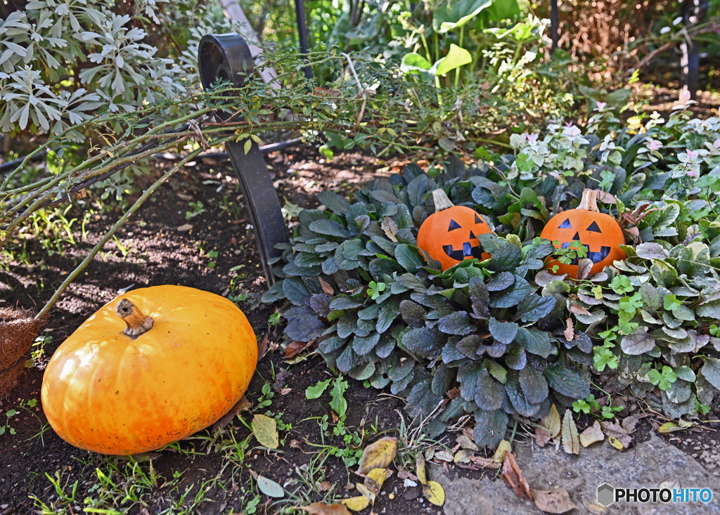 横浜山手西洋館HALLOWEEN