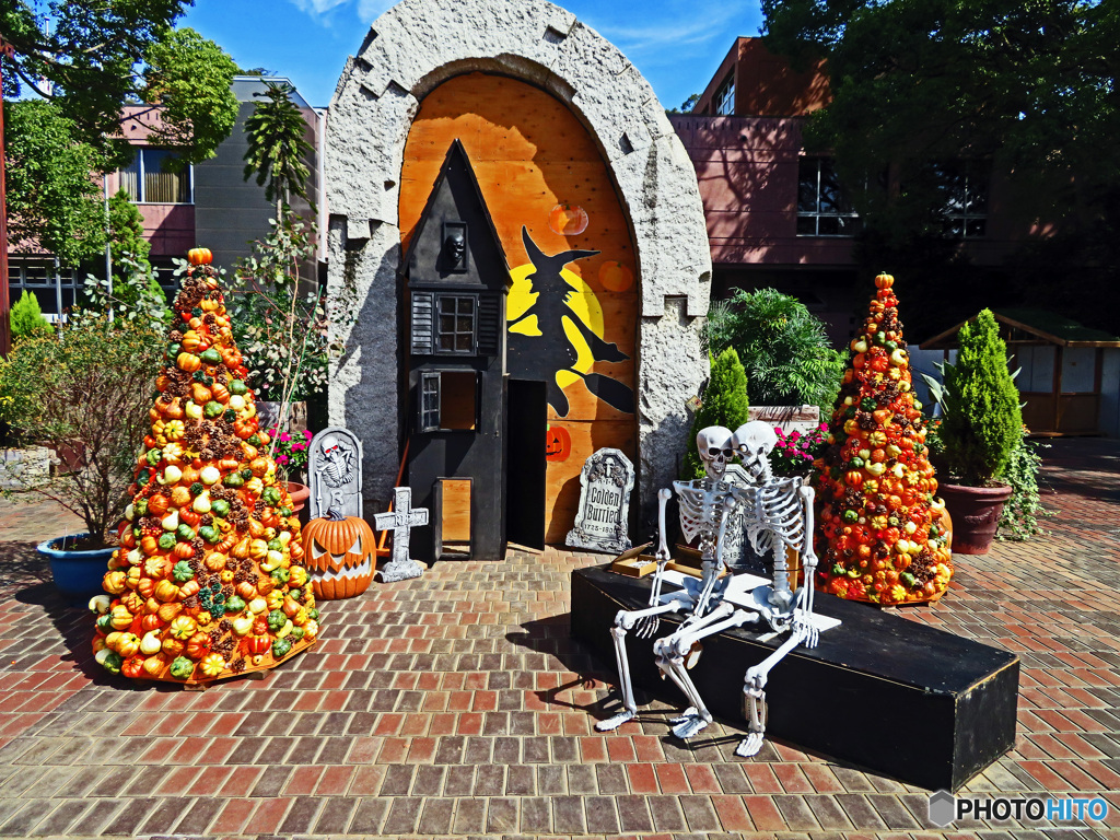 ハロウィンだねぇ