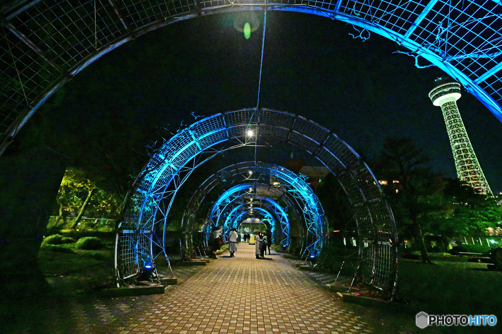 通り道