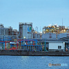 工場夜景　運河めぐり
