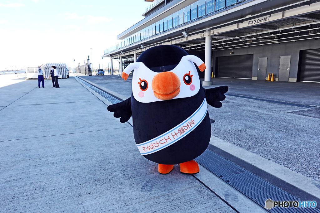 エトピリカちゃん