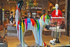 街のスナップ撮影