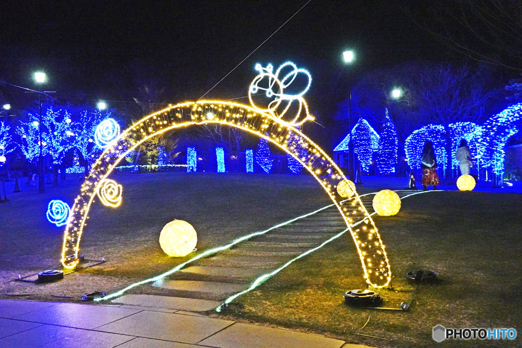 アメリカ山のイルミネーション