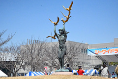 シ－サイドフェスタ