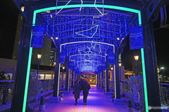  恋人たちの通り道
