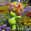 赤レンガ倉庫付近の花壇展