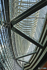 国際フォーラム