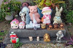 散歩中に見つけた～1