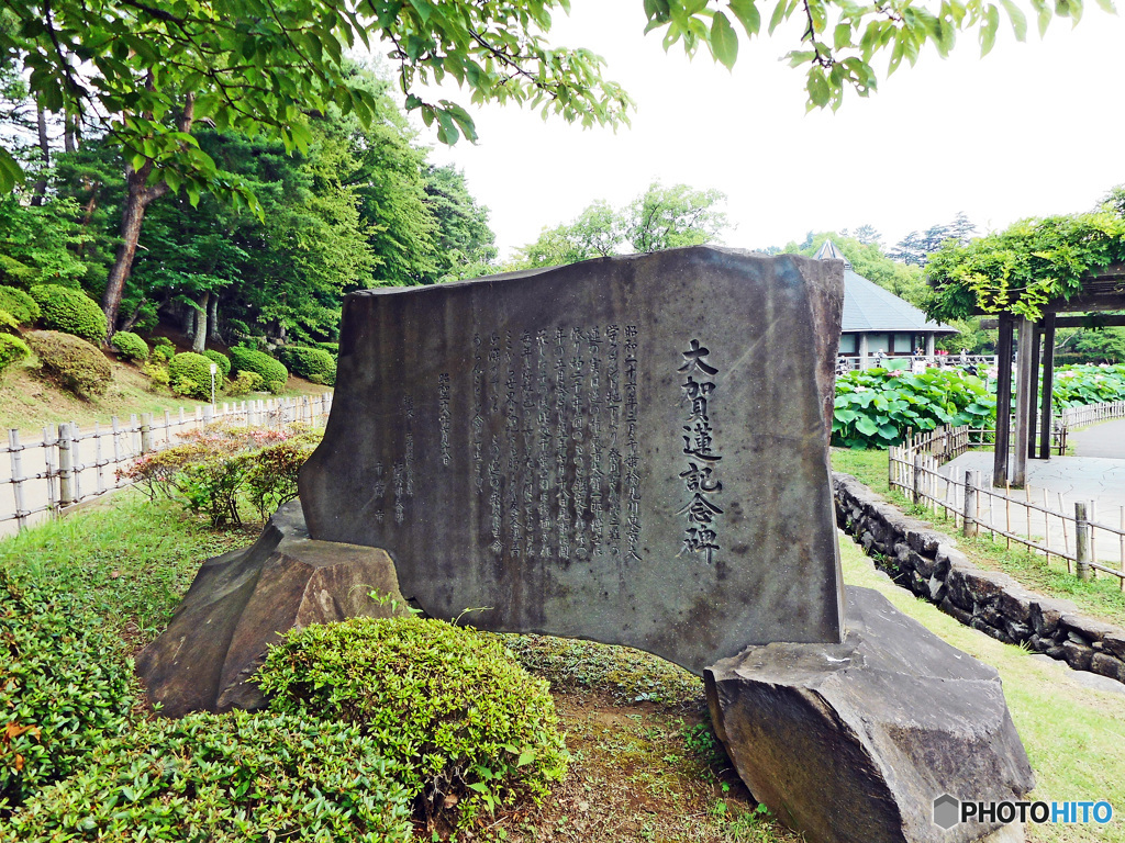 大賀ハス記念碑