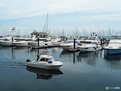 ベイサイドヨットマリーナ