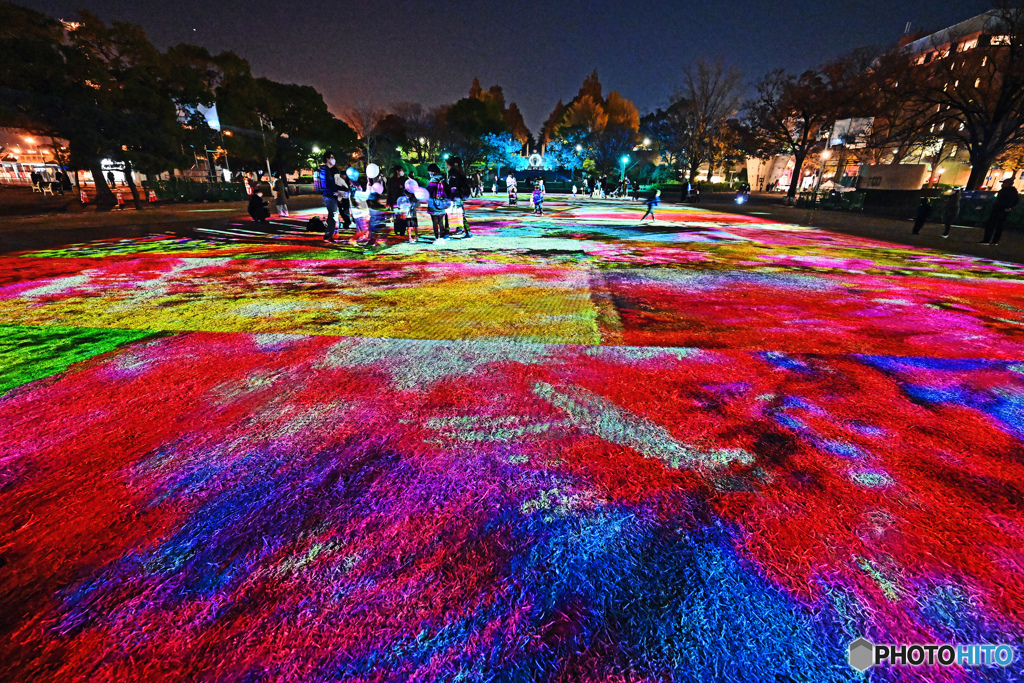 夜の山下公園スナップ