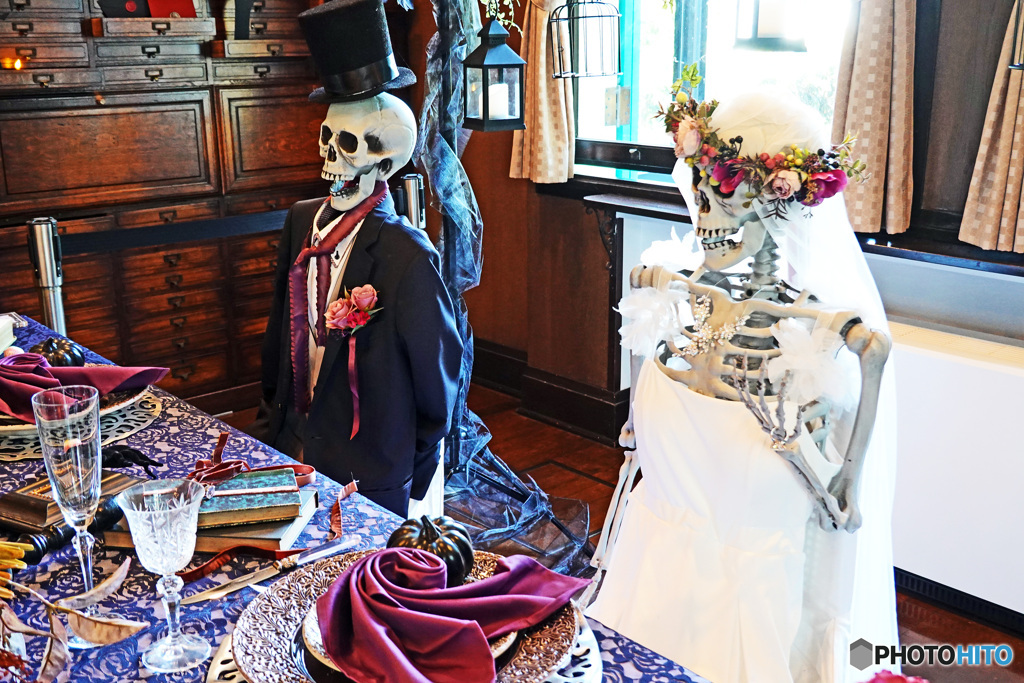 私たちの結婚披露パ－ティよ。