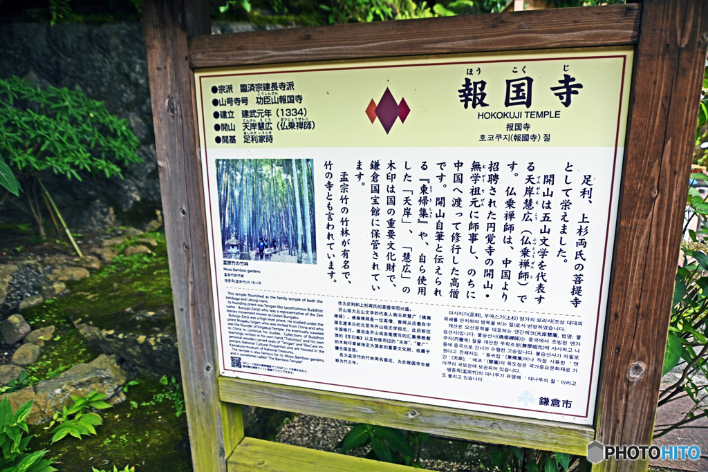 鎌倉の竹寺　報国寺