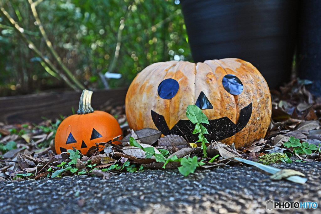 横浜山手西洋館HALLOWEEN2021