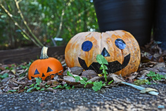 横浜山手西洋館HALLOWEEN2021