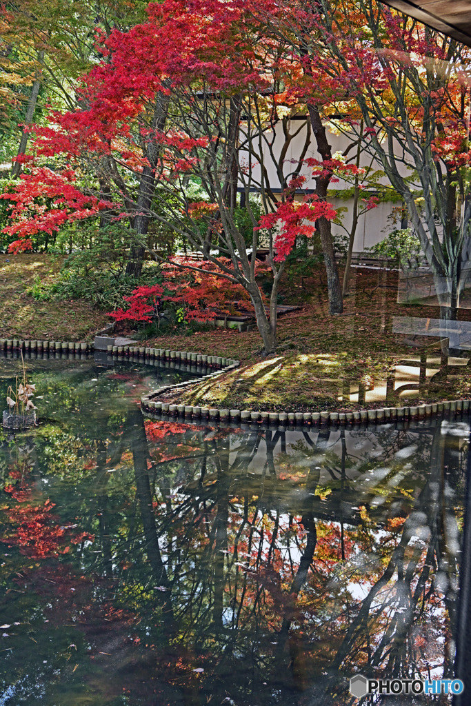 秋の三渓園