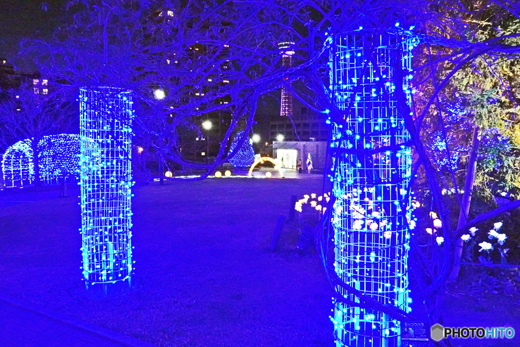 アメリカ山のイルミネーション