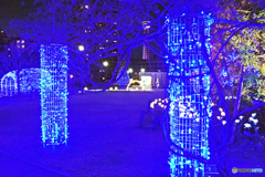 アメリカ山のイルミネーション