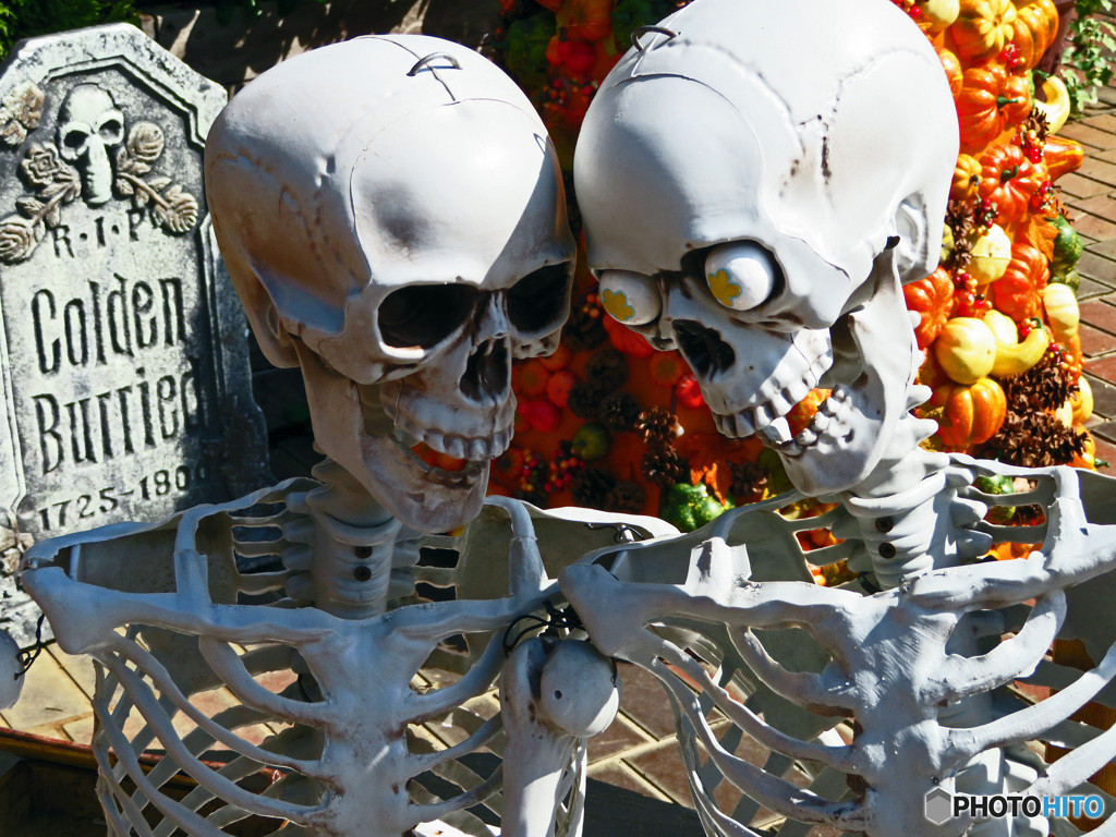 『愛しているよ』　