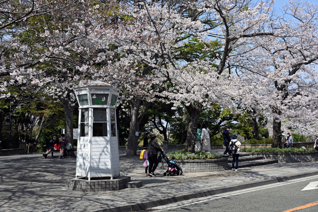 横浜山手地区