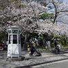 横浜山手地区